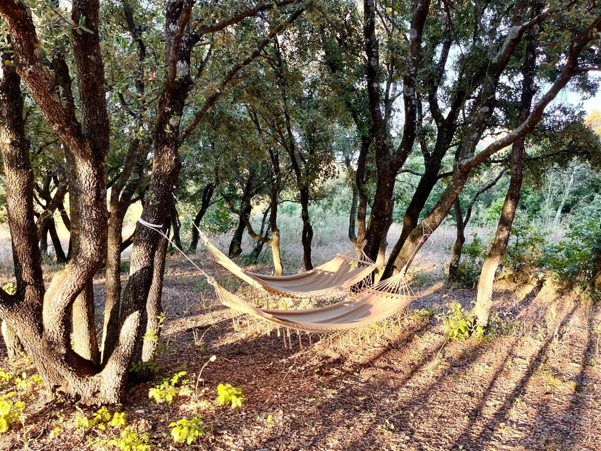 Nuiki Lodges - Chambres D'Hotes Montségur-sur-Lauzon Dış mekan fotoğraf